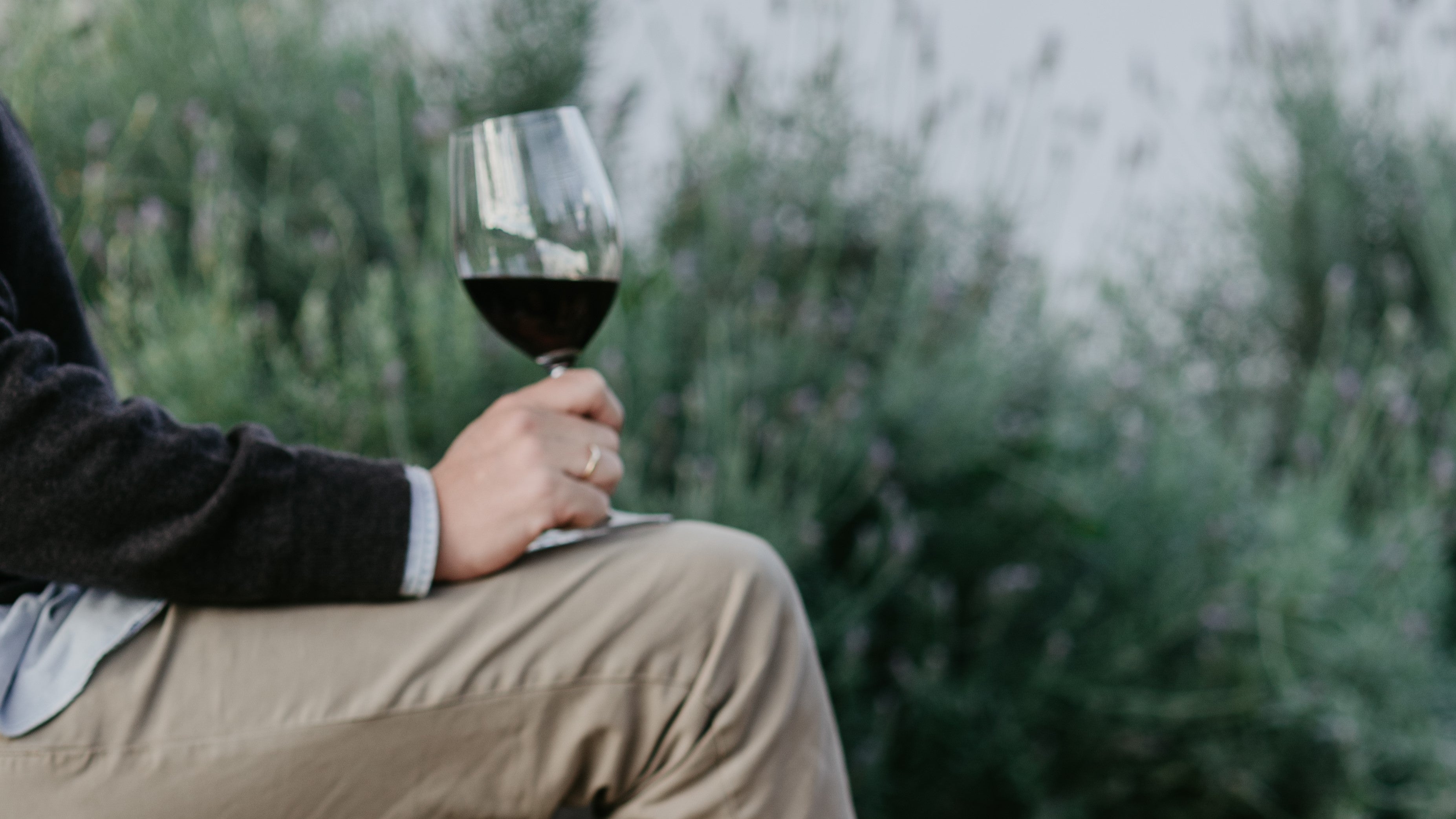 Vinos Tintosslider_item_kG64hL