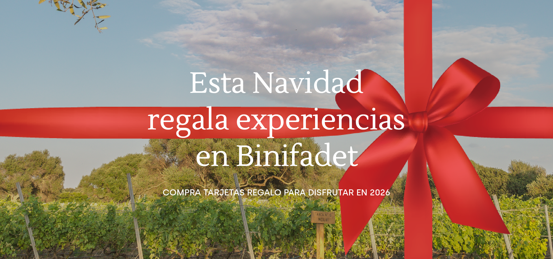 slider image slider_item_YWak9U